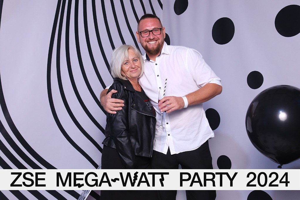 MEGA-WATT PARTY